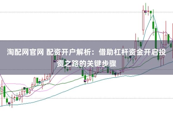 淘配网官网 配资开户解析：借助杠杆资金开启投资之路的关键步骤