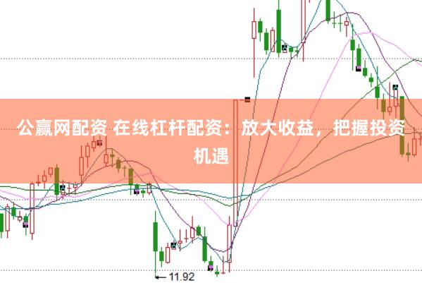 公赢网配资 在线杠杆配资：放大收益，把握投资机遇