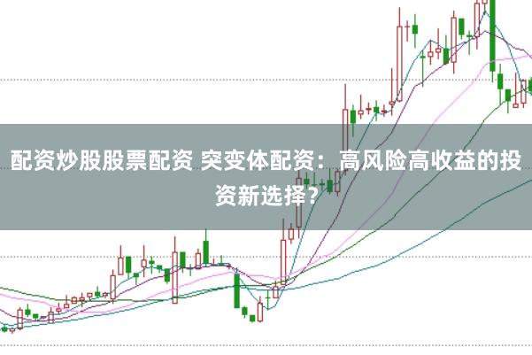 配资炒股股票配资 突变体配资：高风险高收益的投资新选择？