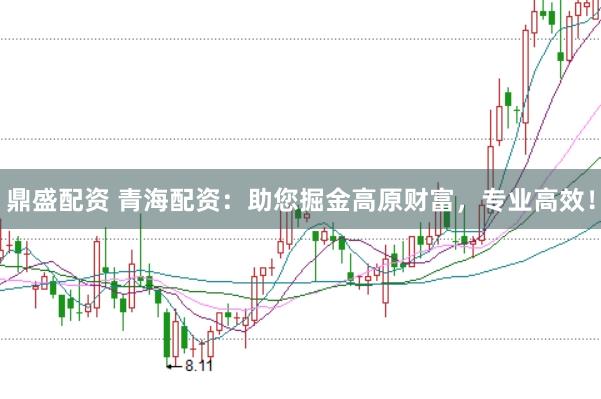 鼎盛配资 青海配资：助您掘金高原财富，专业高效！