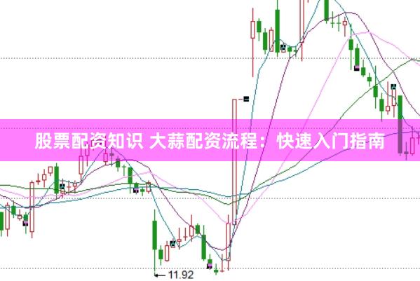 股票配资知识 大蒜配资流程：快速入门指南