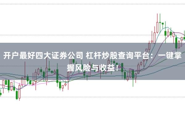开户最好四大证券公司 杠杆炒股查询平台：一键掌握风险与收益！