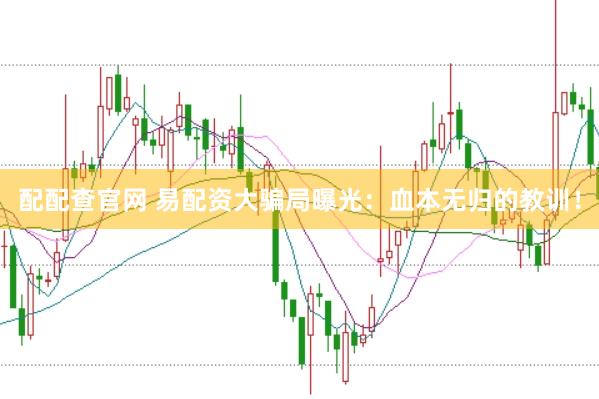 配配查官网 易配资大骗局曝光：血本无归的教训！