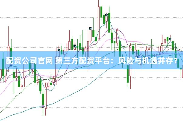 配资公司官网 第三方配资平台：风险与机遇并存？