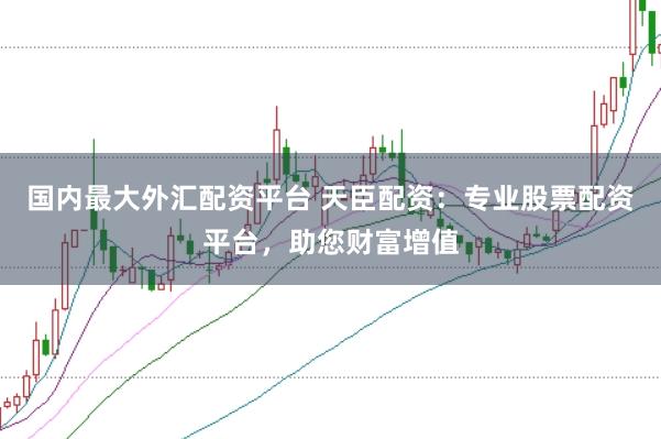 国内最大外汇配资平台 天臣配资：专业股票配资平台，助您财富增值