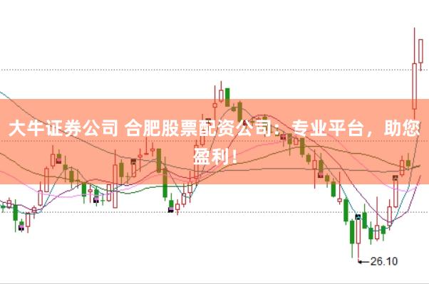 大牛证券公司 合肥股票配资公司：专业平台，助您盈利！