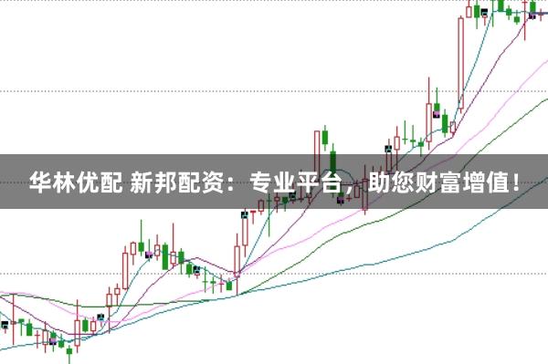 华林优配 新邦配资：专业平台，助您财富增值！