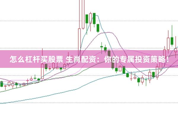 怎么杠杆买股票 生肖配资：你的专属投资策略！