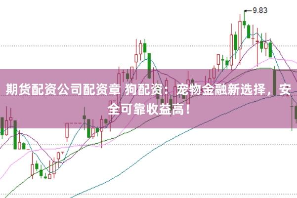期货配资公司配资章 狗配资：宠物金融新选择，安全可靠收益高！