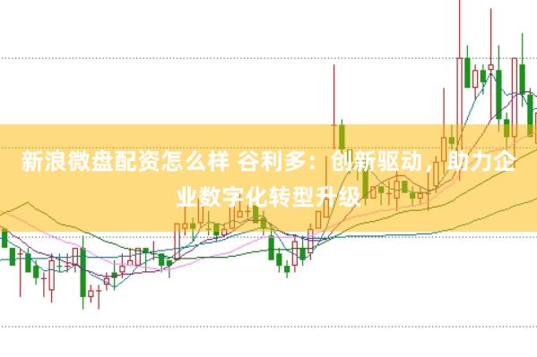 新浪微盘配资怎么样 谷利多：创新驱动，助力企业数字化转型升级