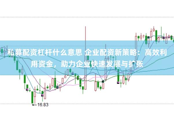 私募配资杠杆什么意思 企业配资新策略：高效利用资金，助力企业快速发展与扩张