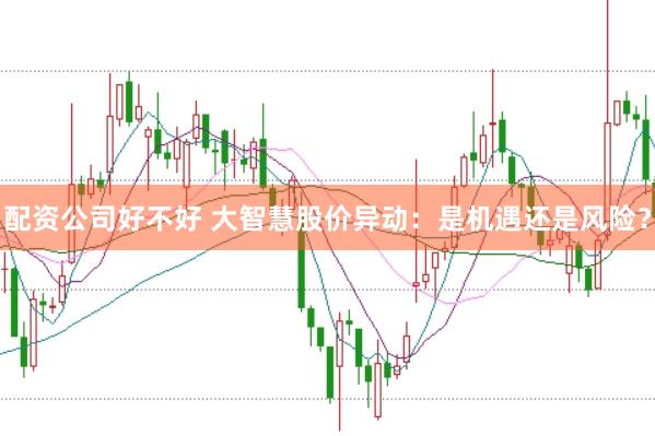 配资公司好不好 大智慧股价异动：是机遇还是风险？