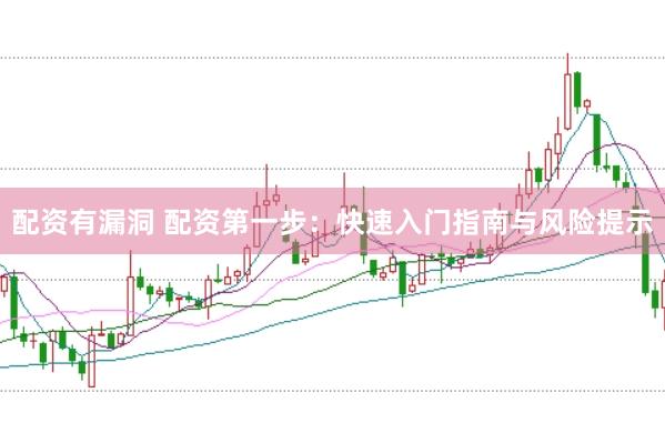 配资有漏洞 配资第一步：快速入门指南与风险提示