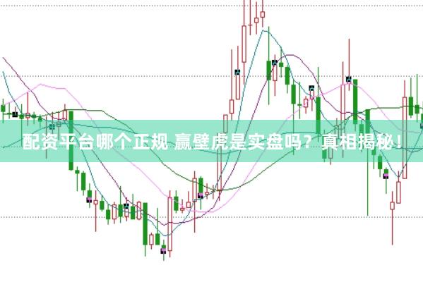 配资平台哪个正规 赢壁虎是实盘吗？真相揭秘！