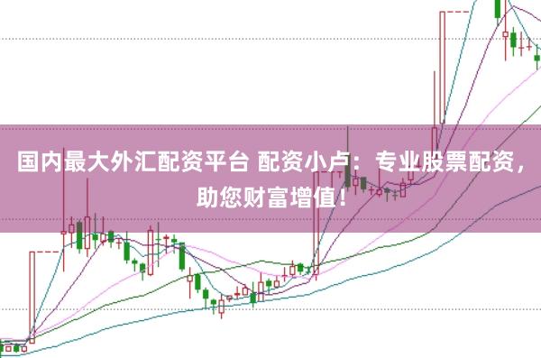 国内最大外汇配资平台 配资小卢：专业股票配资，助您财富增值！