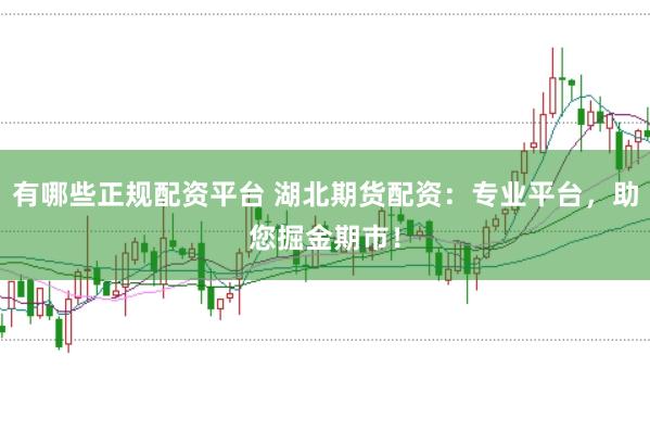 有哪些正规配资平台 湖北期货配资：专业平台，助您掘金期市！