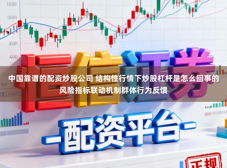 中国靠谱的配资炒股公司 结构性行情下炒股杠杆是怎么回事的风险指标联动机制群体行为反馈