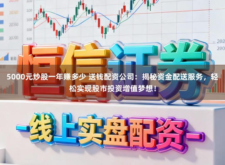 5000元炒股一年赚多少 送钱配资公司：揭秘资金配送服务，轻松实现股市投资增值梦想！