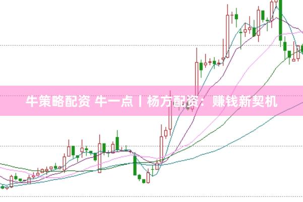 牛策略配资 牛一点丨杨方配资:赚钱新契机