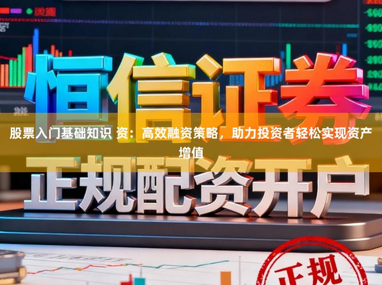 股票入门基础知识 资：高效融资策略，助力投资者轻松实现资产增值